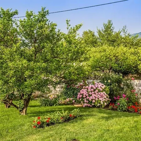 Sleeps 11 Pool Wifi * Zastolje